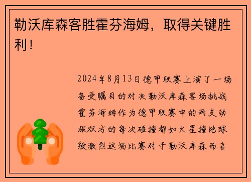 勒沃库森客胜霍芬海姆，取得关键胜利！